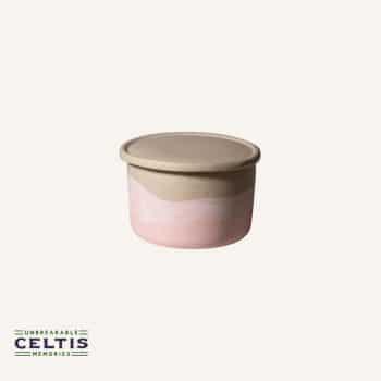 ceramic french butter keeper for soft butter